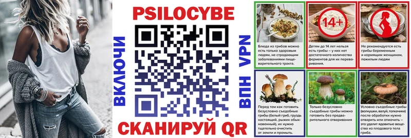Псилоцибиновые грибы Psilocybine cubensis  Черняховск 